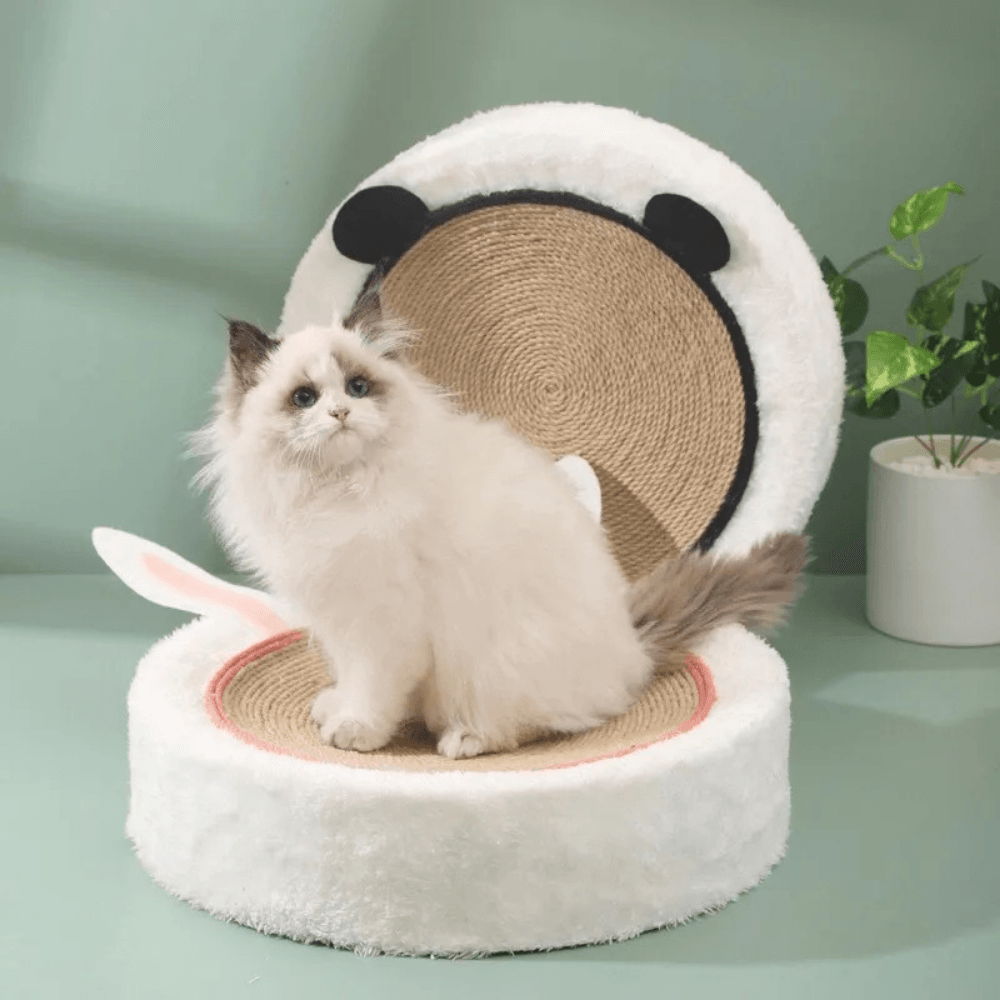 Cat Scratcher Bed