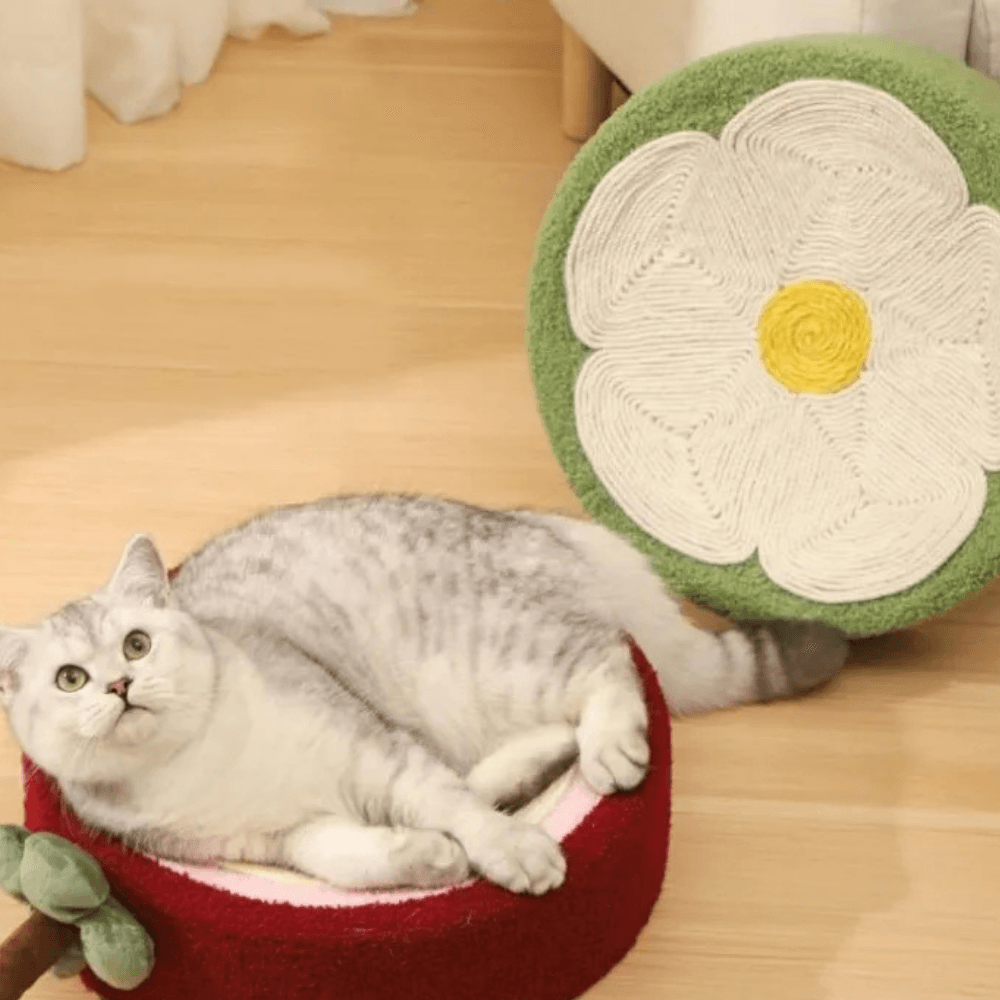 Cat Scratcher Bed