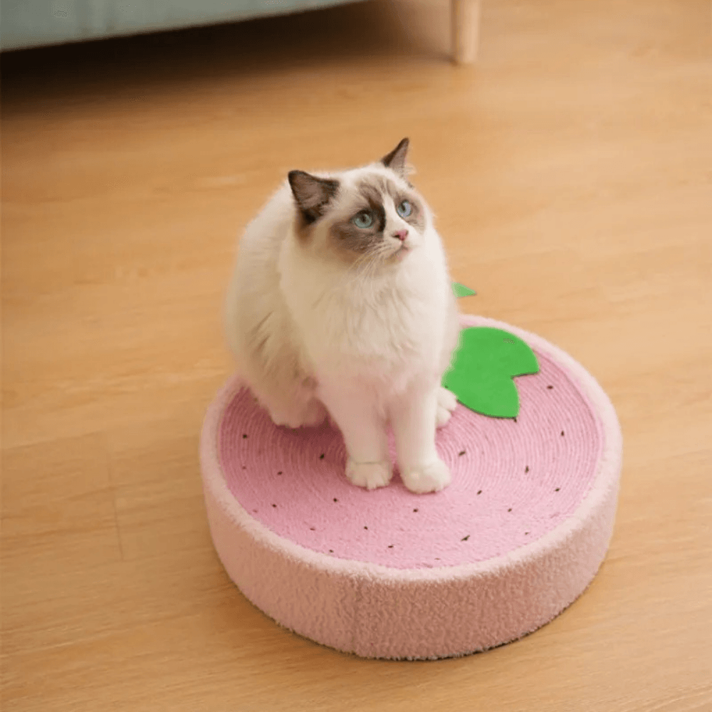 Cat Scratcher Bed