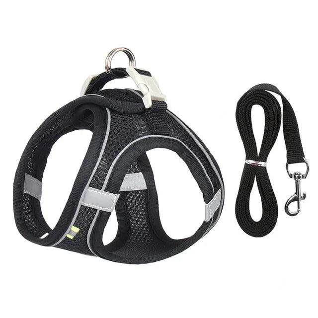 Adjustable Harness with Leash for Pets