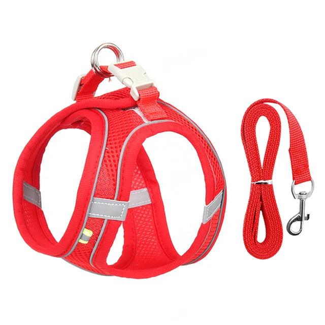 Adjustable Harness with Leash for Pets