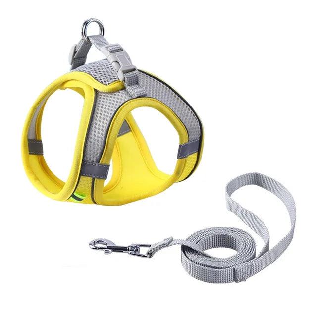 Adjustable Harness with Leash for Pets