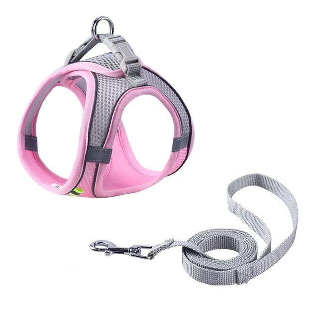 Adjustable Harness with Leash for Pets