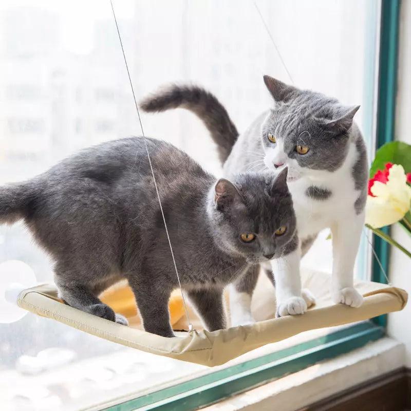 Cama de Janela Suspensa para Gatos - Mimers