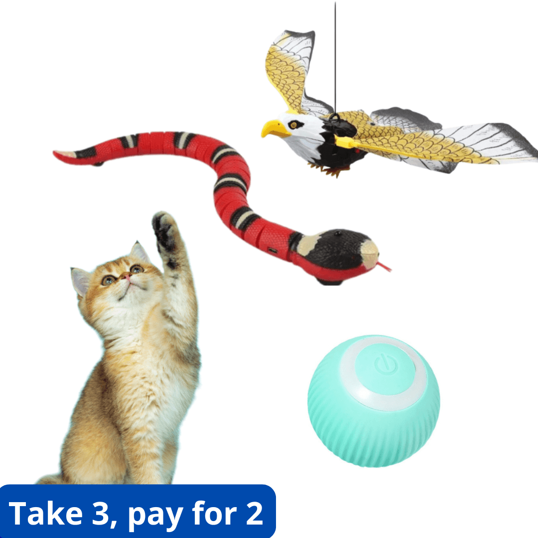 Electric Cat Toy Kit – Snake + Bird + Ball