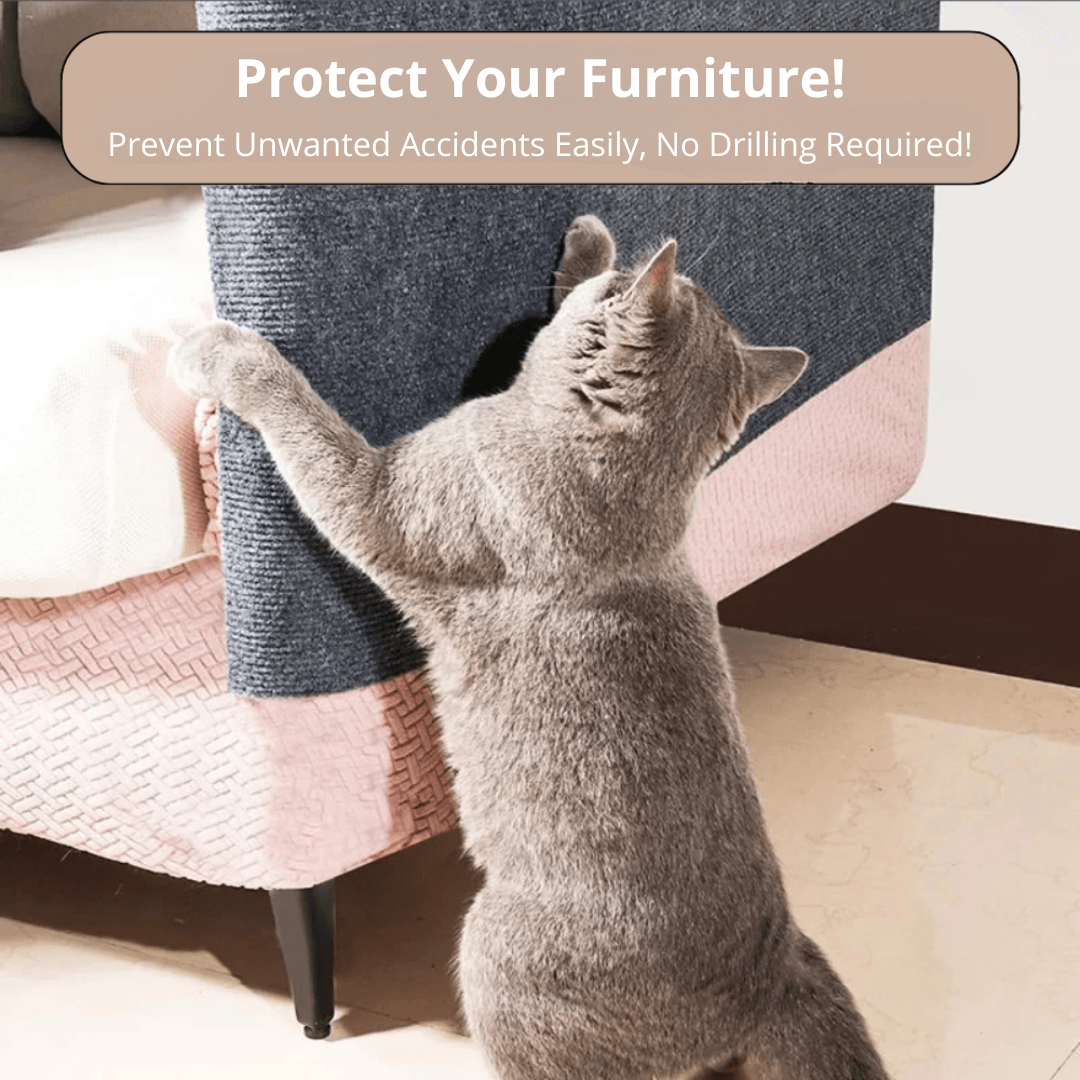 Adhesive Scratch Carpet Protector for Cats