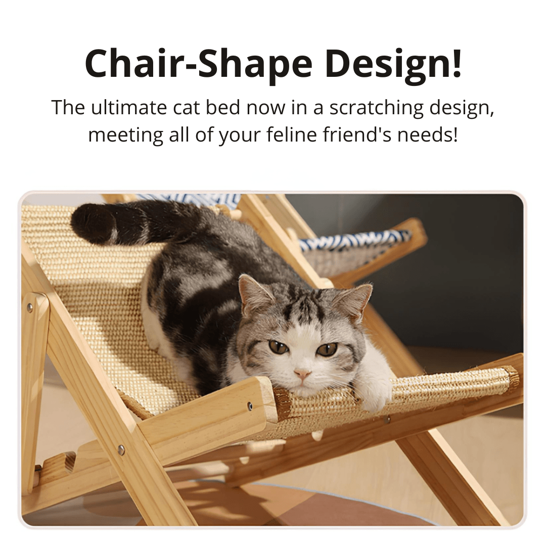 Cat Scratching Chair