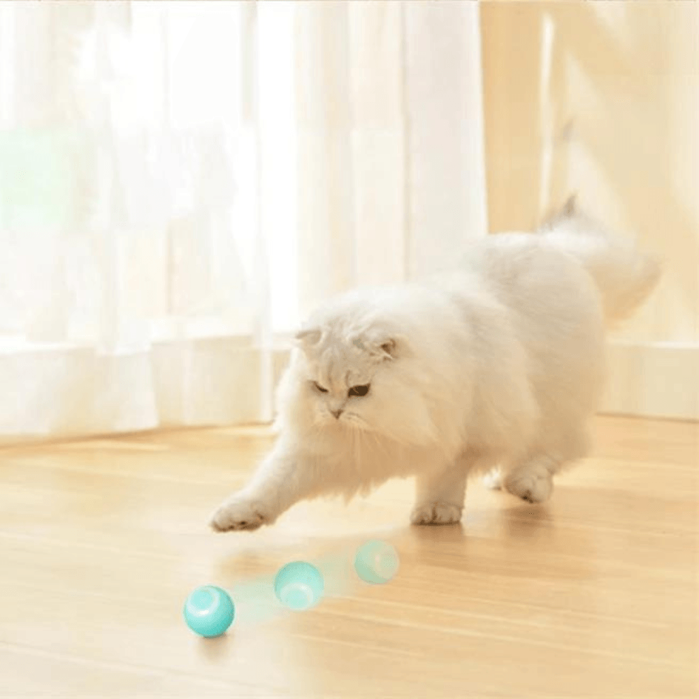 Electric Smart Ball Toy for Cats