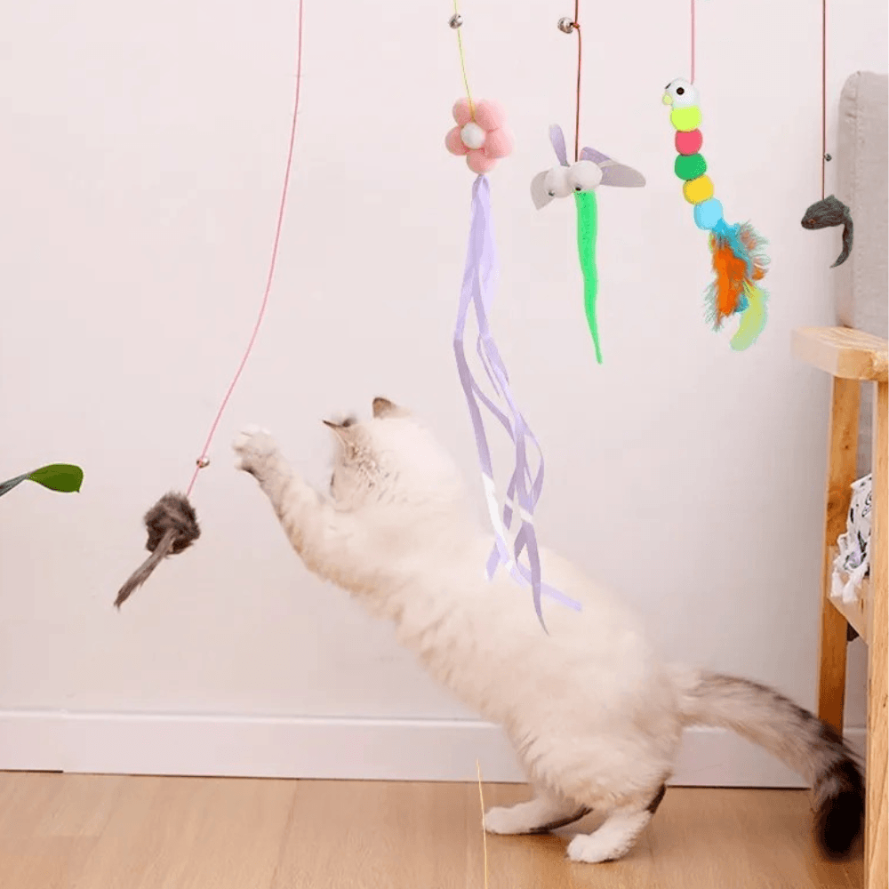 Hanging Toy with Suction Cup for Cats