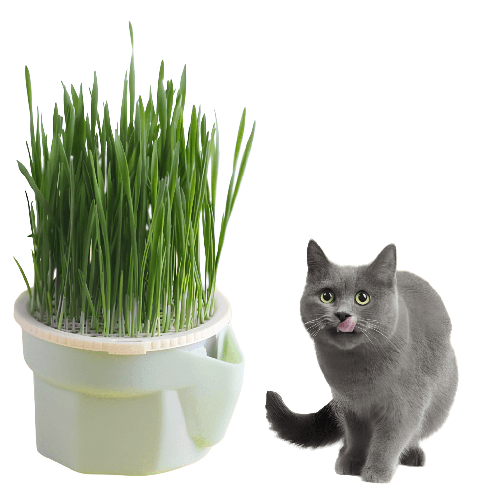 Cat Plant Pot