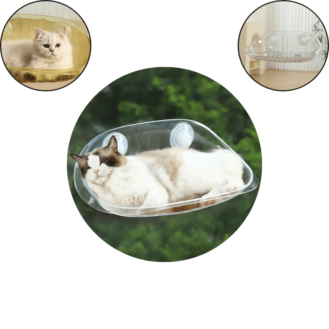 Modern Hanging Bed for Cats