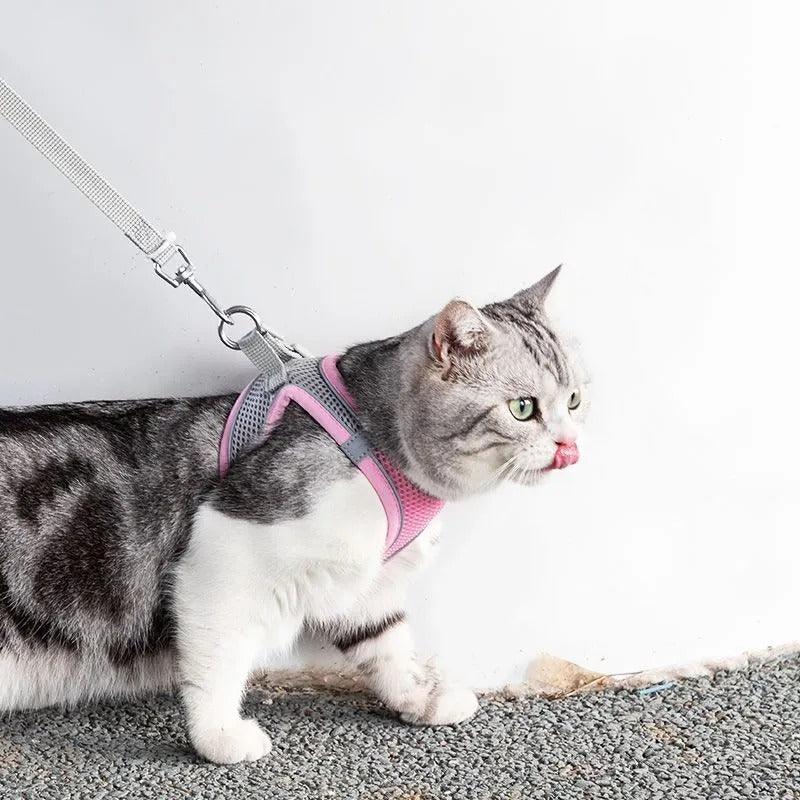 Adjustable Harness with Leash for Pets