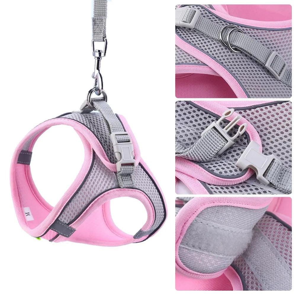 Adjustable Harness with Leash for Pets