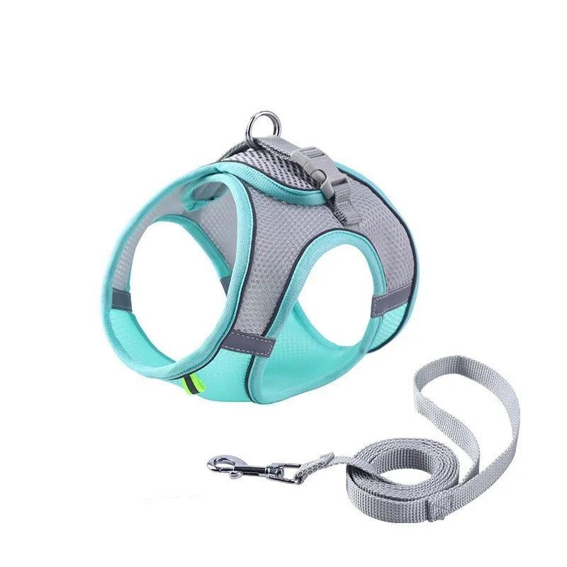 Adjustable Harness with Leash for Pets