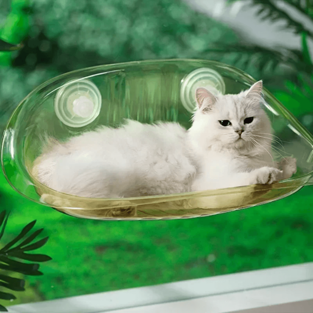 Modern Hanging Bed for Cats