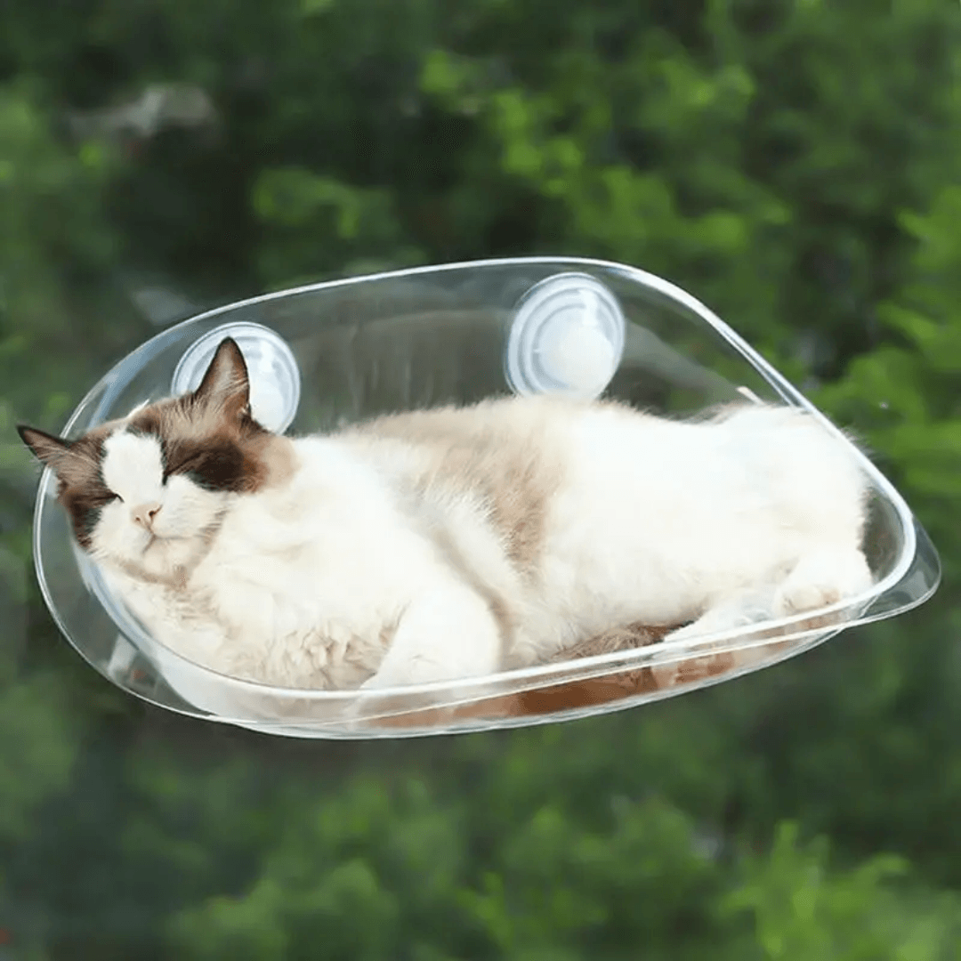 Modern Hanging Bed for Cats