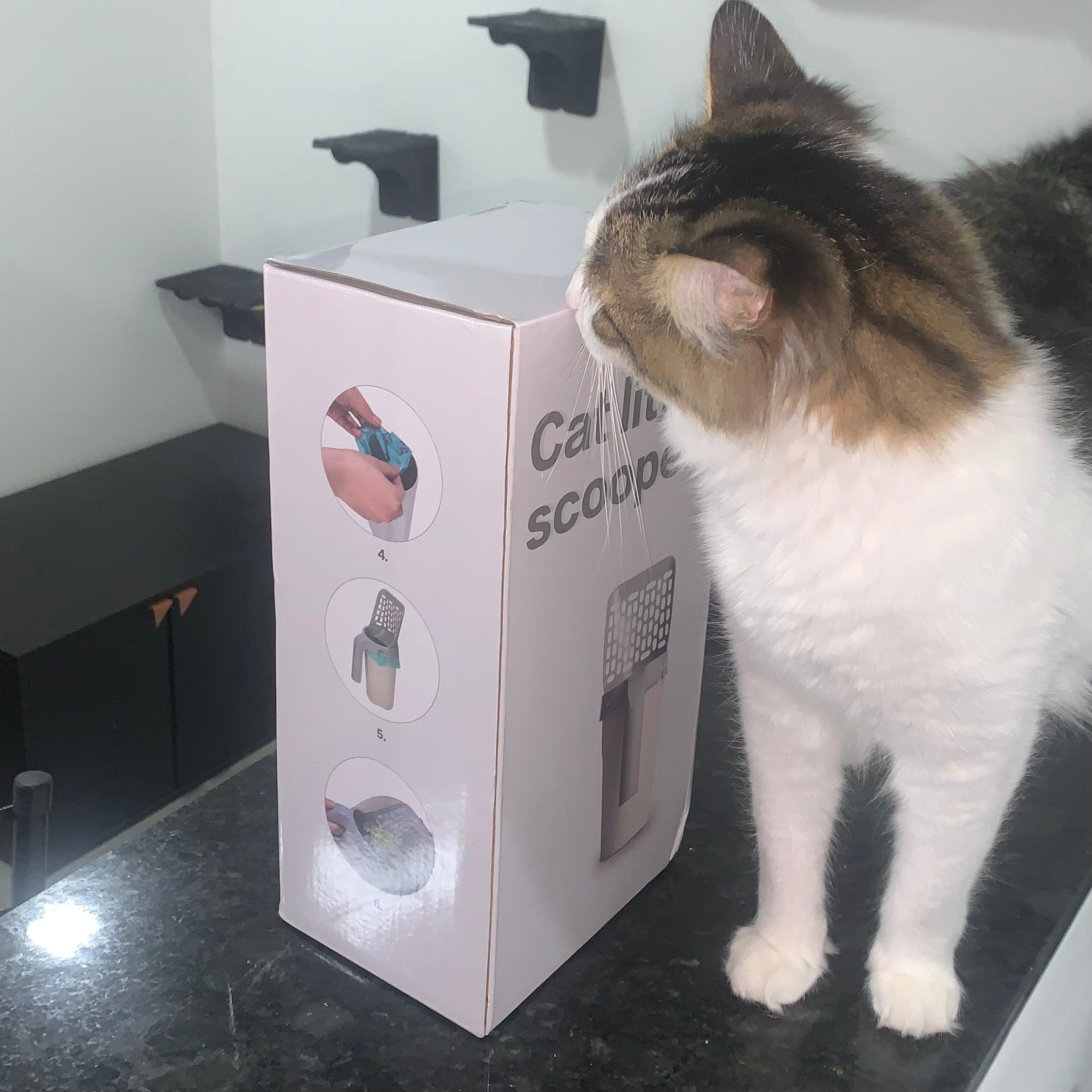 Scoop with Dispenser for Cats