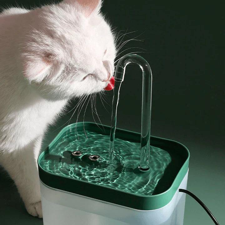 Faucet Water Fountain with Filter for Cats