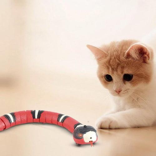 Electric Cat Toy Kit – Snake + Bird + Ball